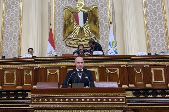 Predsjedavajući Delegacije PSBiH u PSUzM Milan Petković učestvovao u Kairu na Forumu i Samitu presjednika PSUzM 